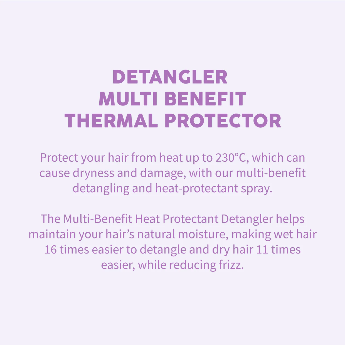 Protector Térmico Desenredante Multibeneficios 250 ML